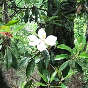 Meet your Posher, Sharika